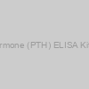 Human Parathyroid Hormone (PTH) ELISA Kit, 96 tests, Quantitative